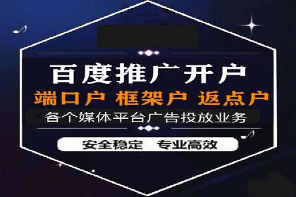 某电商平台的SEM运营实战与效果分析